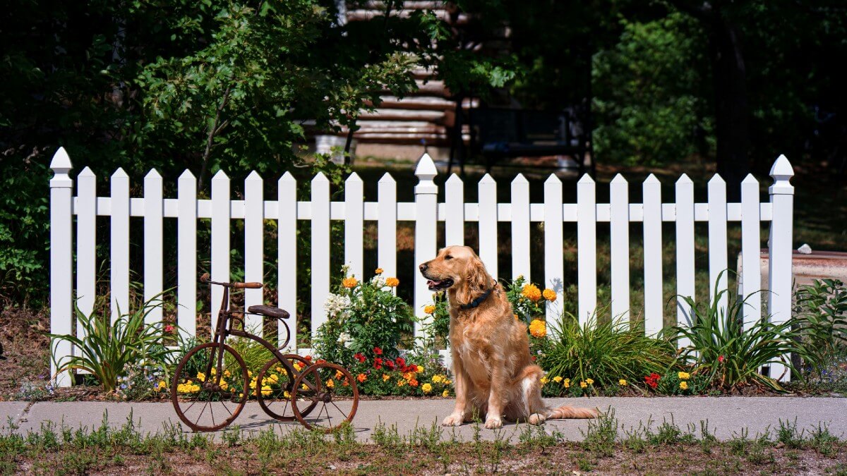 whitepicketfence (1).jpg